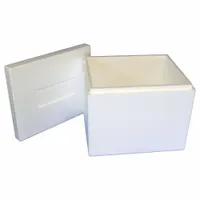 White cardboard box with 1-inch-thick Styrofoam insert for thermal protection of temperature-sensitive shipments. Outer dimensions 15 1/4 in x 12 3/8 in x 12 in. Suitable for applications requiring moderate insulation during transit
