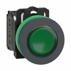 Momentary illuminated push button with flush profile, non-metallic construction, and 30 mm mounting diameter. Features one normally open and one normally closed contact. Suitable for control panel applications requiring visual indication and momentary switching.