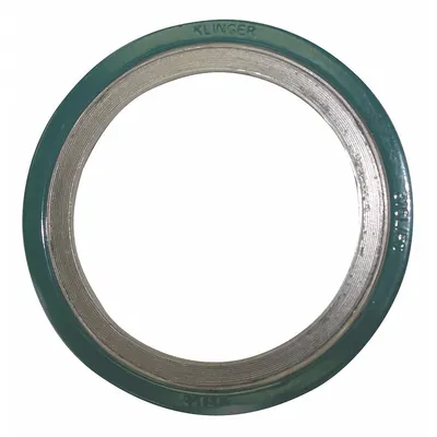 OEM Graphite Spiral-Wound Gasket, 304 Stainless Steel Winding, For 18 in Pipe - Graphite Spiral-Wound Gaskets