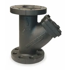 Cast iron Y strainer with flanged connections for removing solid particles from steam, gas, or liquid pipelines. Features a perforated 304 stainless steel screen with 0.062 in openings and graphite seal material. Protects downstream equipment in industrial fluid handling and process piping systems.