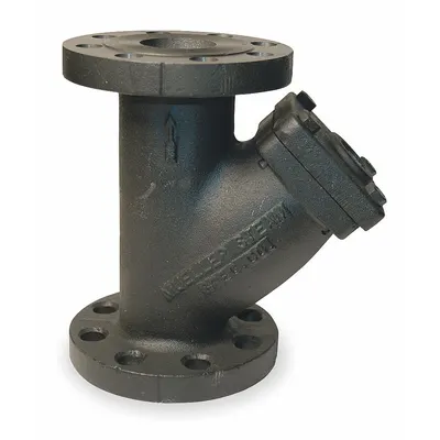 MUELLER STEAM SPECIALTY 2 77F-DI-125 Cast Iron Y Strainer - Cast Iron Y Strainers