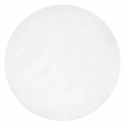 LABEXACT Qualitative Filter Paper: 1 Grade, 5.5 cm Dia, 0.2 mm Thick - Qualitative Cellulose Filter Paper