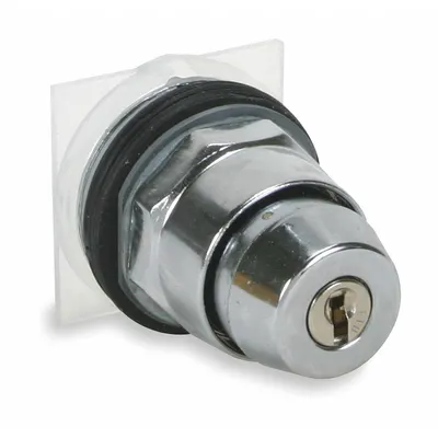 SCHNEIDER Keyed Selector Switch: 2 Position, 30 mm Panel Mounting Size - Panel-Mounted Key Switches without Contacts
