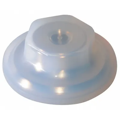 Dayton Center Disk, PTFE, Mfr Part # 780179 - Diaphragm Plates