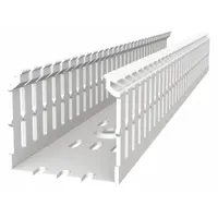 Wiring Duct: 2 in Nom Wd, 3.5 in Slot Ht, 4 in Nom Ht, 0.2 in Slot Wd, PVC, 72 in Lg, White (MPN TYD2X4NPW6)
