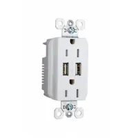 Duplex 5-15R receptacle rated 125V AC and 15 A, featuring two USB Type-A ports for device charging. White finish with weather-resistant construction suitable for indoor or covered outdoor use in residential and commercial spaces