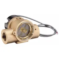 GEMS SENSORS Flow Indicator: Rotor, 316 Stainless Steel, 9/16 in NPT, 9/16 in Connection Size, NPT (MPN RFO, 194761)