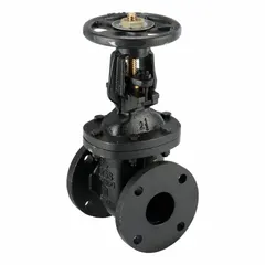 Cast iron outside screw and yoke (OS&Y) gate valve with a 2-1/2 in nominal size. Features a cast iron wedge and cast iron bonnet. Used for on/off control in general-purpose industrial piping systems, providing visual position indication for above-ground installations.