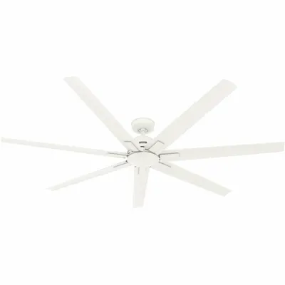 HUNTER Ceiling Fan: 6 ft Blade Dia, Fresh White - Decorative Office Ceiling Fans