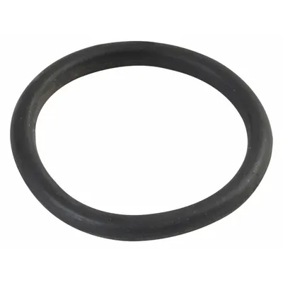 DAYTON O-Ring: O-Ring, PP3785G - Seals & Gaskets
