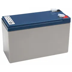 This AGM sealed lead acid battery provides 12V DC output with a 7 Ah capacity. It features an ABS housing and 0.250 in Faston terminal connections. Dimensions are 5.95 in depth, 3.7 in height, and 2.56 in width. Suitable for backup power in alarm systems, emergency lighting, and floor cleaning machines.