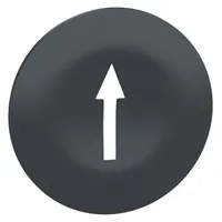 SCHNEIDER ELECTRIC Push Button Head: 22 mm Panel Size, Non-Illuminated, Arrow, Black (MPN ZBA7235)