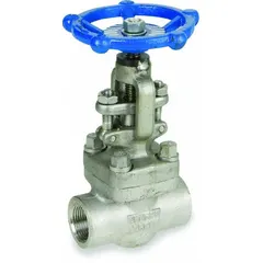 This SHARPE globe valve features a 316L stainless steel straight body with OS&Y stem and metal seat. Designed for general-service throttling and shut-off in steam media applications. Socket x socket female connections, 2 in pipe size.