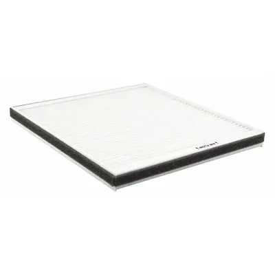BALDWIN FILTERS Panel Cabin Air Filter PA30001 - Panel Cabin Air Filters