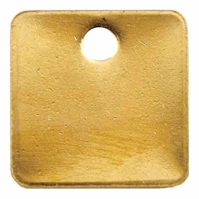 OEM Blank Tag: Brass - General Purpose Blank Valve Tags