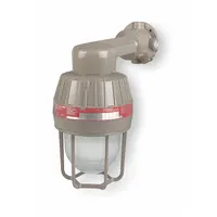 KILLARK Incandescent Light Fixture: 6,360 lm, T3C Temp Code, 300 W, 120/277V AC, Wall Mount (MPN EMI20B2G)
