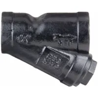 APPROVED VENDOR Y Strainer: 1 1/2 in, NPT, Perforated, 0.0625 in Screen Size, Cast Iron, PTFE