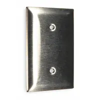 Blank wall plate for covering unused electrical boxes or switch openings. 1-gang, standard size, made of stainless steel with a silver finish. Suitable for general-purpose use in residential, commercial, and industrial settings
