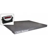 Steel-platform floor scale with 10,000 lb capacity and 2 lb readability. Features LED display, RS-232 port, and weighs in pounds. Suitable for industrial weighing tasks such as receiving, shipping, and production