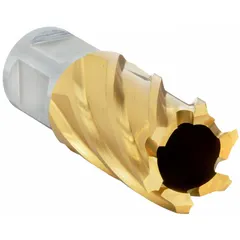 High-speed steel annular cutter with TiN coating for general cutting applications. Features a 32 mm cutter diameter and 1 in maximum cutting depth. Equipped with a Weldon Flat shank. Used with magnetic drill presses for creating holes in metal workpieces.