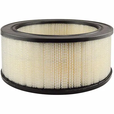BALDWIN FILTERS Round/Oval Engine Air Filter PA2095 - Round/Oval Engine Air Filters