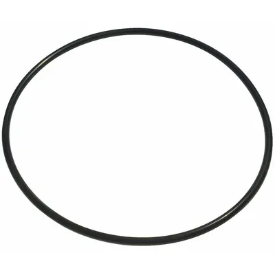 Dayton Gasket for Straight Centrifugal Pumps, NBR, Part No PPTLSP005G - Seals & Gaskets for Self-Priming Sprinkler Pumps