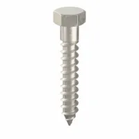 Hex Head Lag Screw: 1/4 in Size, 1 1/2 in Lg, Stainless Steel, NL-19, 25 PK (MPN FBLB1415P25)