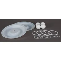 DAYTON Fluid End Repair Kit: Fluid End Repair Kit,, PTFE, PTFE