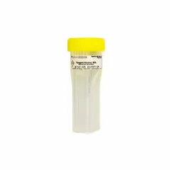 Cytology staining jar for PAP procedures, constructed from polypropylene copolymer. Holds up to 4 microscope slides. Dimensions: 98 mm height, 30 mm width.