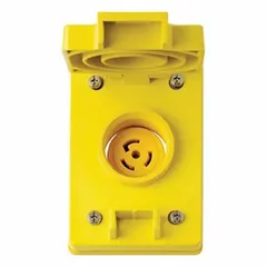 Unmetered surface power outlet with a 15 A, 125V AC rating and L5-15R locking configuration. Valox housing. Designed for secure, reliable power connections in industrial or commercial settings where accidental disconnection must be prevented.