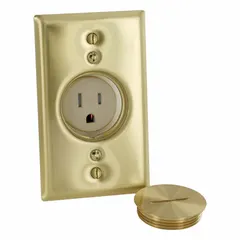 General purpose single receptacle rated 125V AC, 15A, 5-15 configuration, 2-pole/3-wire grounding. Ivory finish. Suitable for standard electrical installations in residential, commercial, and industrial settings for powering lighting, appliances, and tools.