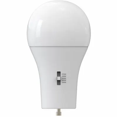 MAXLITE Compact LED Bulb: 2-Pin (GU24), LED, (A) Classic, A19, 5 W Watt - 2-Pin Base (GU24) Lamps