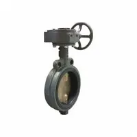 This 8-inch cast iron butterfly valve features a concentric wafer design with an aluminum bronze alloy disc. It is gear-operated via handwheel and rated for a maximum working pressure of 200 psi CWP. Suitable for on-off or throttling control in water, HVAC, and process piping systems