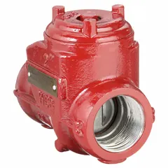 This 2-way inline swing check valve is constructed of carbon steel with a 2 in pipe size and FNPSM x FNPSM connections. It is designed for backflow prevention in piping systems where flow direction must be controlled.