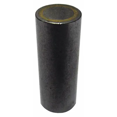 STORCH PRODUCTS Alnico Magnet: Encased, 1 in Thick - Cylindrical Alnico Magnets