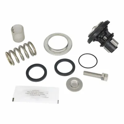 WILKINS Valve Repair Kit RK1-600XL3 - Valve Repair Kits