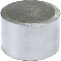 Alnico Magnet: Encased, 0.5 in Thick, 3/4 in Outside Dia, Round (MPN R750)