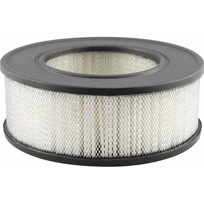 BALDWIN FILTERS PA2037 Round/Oval Engine Air Filter - Round/Oval Engine Air Filters