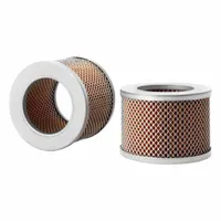 FLEETGUARD Automotive Air Filter: Round-Oval, Engine, Axial Seal, 3 27/32 in Outside Dia, PA2862 (MPN AF4525)