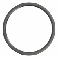 Replacement O-ring for HOSHIZAKI ice machines. Used to seal connections in water or refrigerant circuits, preventing leaks. Suitable for commercial ice machine maintenance in foodservice environments