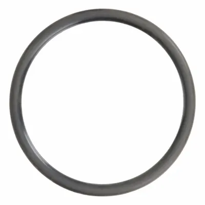 HOSHIZAKI O-Ring 4A4755-01 - HOSHIZAKI Ice Machine Replacement Parts