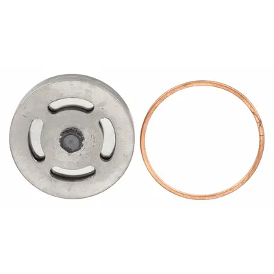 CHAMPION Low-Pressure Intake Valve Assembly Z116 - Air Compressor Parts
