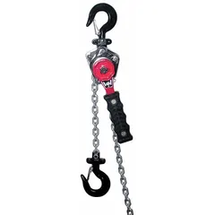 This lever chain hoist is hook mounted for vertical operation, with a steel body and a 550 lb lifting capacity. It provides a 5 ft lift length for pulling, lifting, and tensioning loads in industrial maintenance and rigging applications.