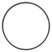 BALDWIN FILTERS Gasket: Oil Filter, Gasket, Buna-N, 15/64 in Lg, 8 15/32 in Inside Dia. (MPN G309-B)