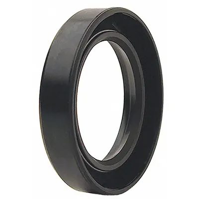 DDS Rotary Shaft Seal: 2 Lip w/Spring, TA, Nitrile, 48 mm ID, 65 mm OD, 10 mm Wd - Dual-Lip Oil Seals with Reinforced Metal Cases for Smooth Bores