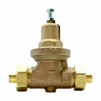 Atmospheric vacuum breaker for water media, constructed of rough brass with a maximum temperature rating of 212°F. Features 1/4 in FNPT x FNPT connections. Used in plumbing and irrigation systems to prevent back-siphonage and protect potable water from contamination