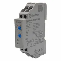 TRUMETER Time Delay Relay: 240V AC, 3 sec – 120 sec (MPN TS06)