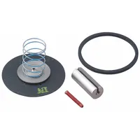 DAYTON Valve Rebuild Kit: Mfr Part # 066047