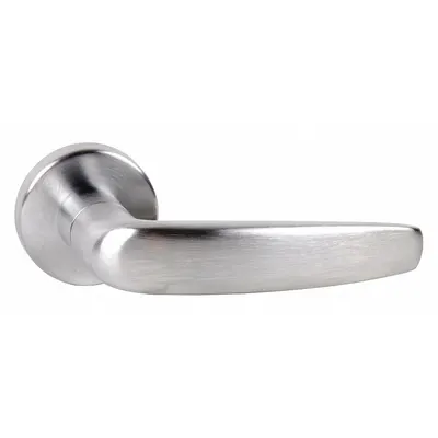 SCHLAGE Door Lockset: Dummy Lever Locksets