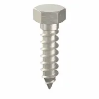 Hex Head Lag Screw: 1/4 in Size, 1 in Lg, Stainless Steel, NL-19, 25 PK (MPN FBLB141P25)